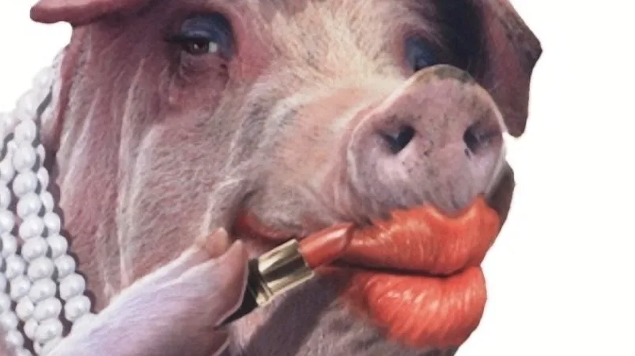 You can put lipstick on a pig