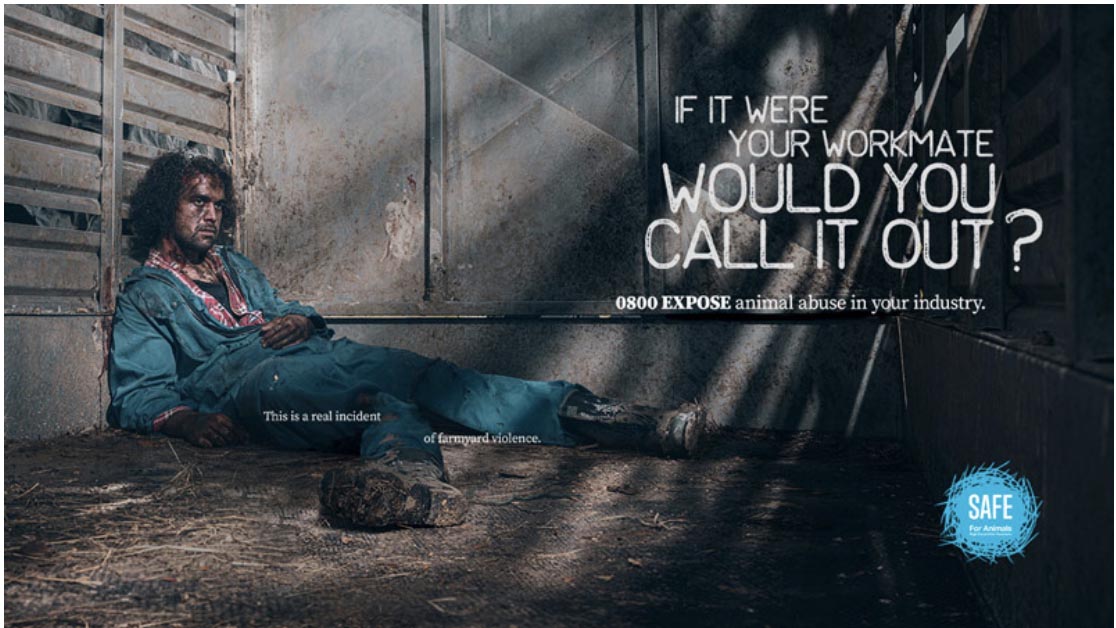 Animal charity SAFE gets tough with farm workers in new campaign via Augusto