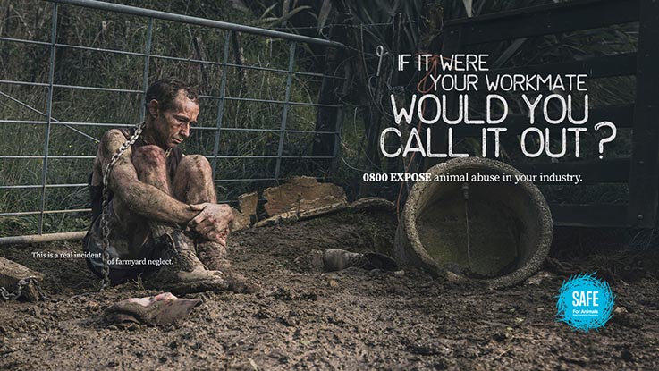 Animal charity SAFE gets tough with farm workers in new campaign via Augusto
