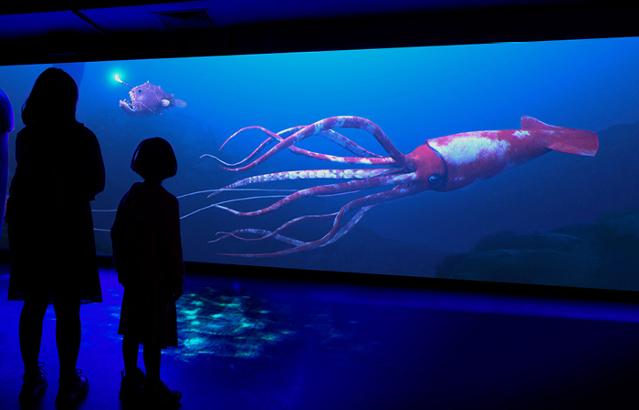 New Zealand creative technology studio Method excites minds with launch of new website