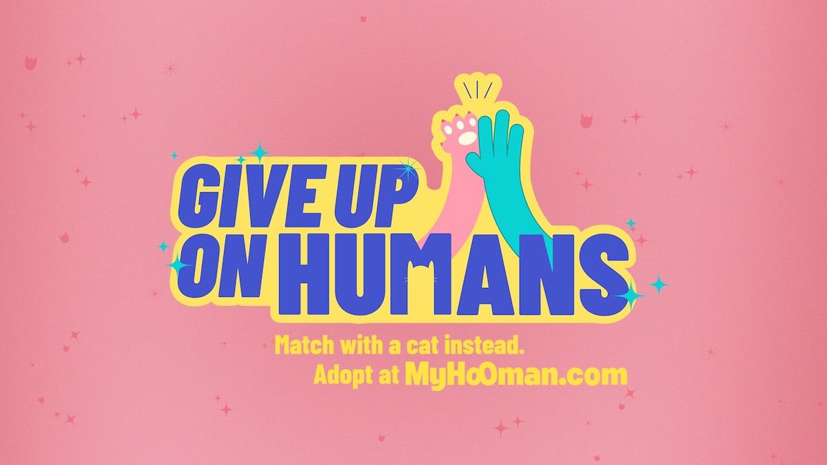 MyHooman encourages singles to match with a cat instead in new campaign via Colenso BBDO