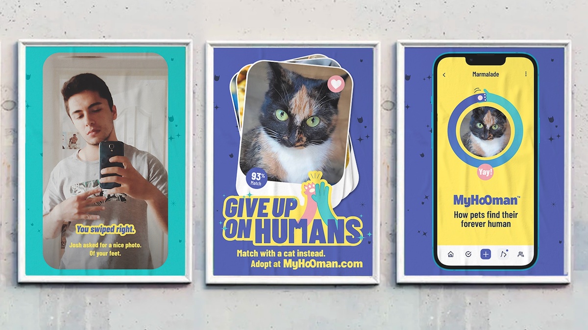 MyHooman encourages singles to match with a cat instead in new campaign via Colenso BBDO