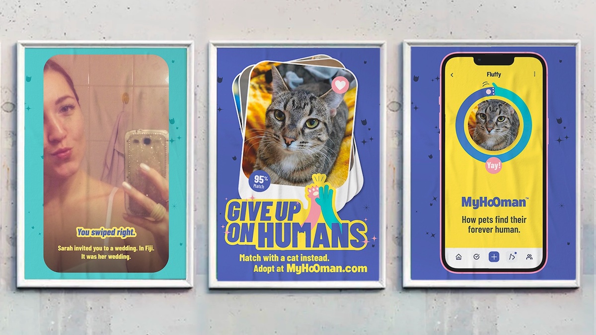 MyHooman encourages singles to match with a cat instead in new campaign via Colenso BBDO