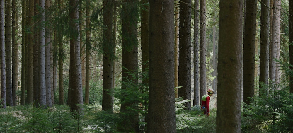 Filmmaker James Stapleton joins electriclime°