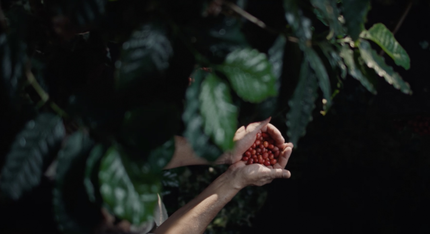 Reel Factory joins SUPERCLUSTER as exclusive New Zealand partner