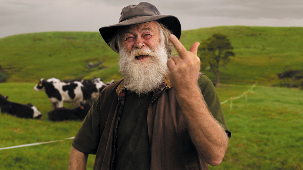 The Work 2023 Contenders: VMLY&R NZ