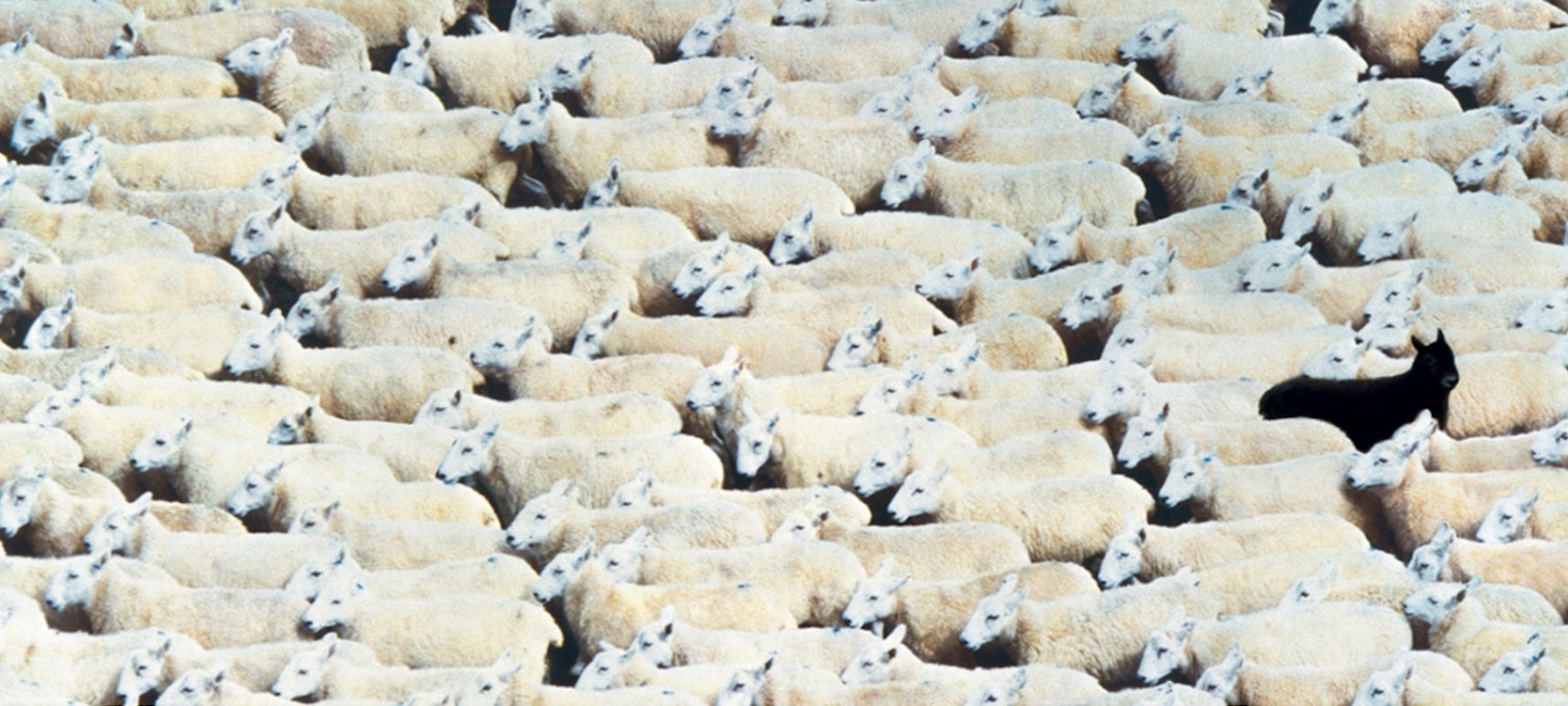 Damon Stapleton: Creativity. What will the wrong answers be worth tomorrow?