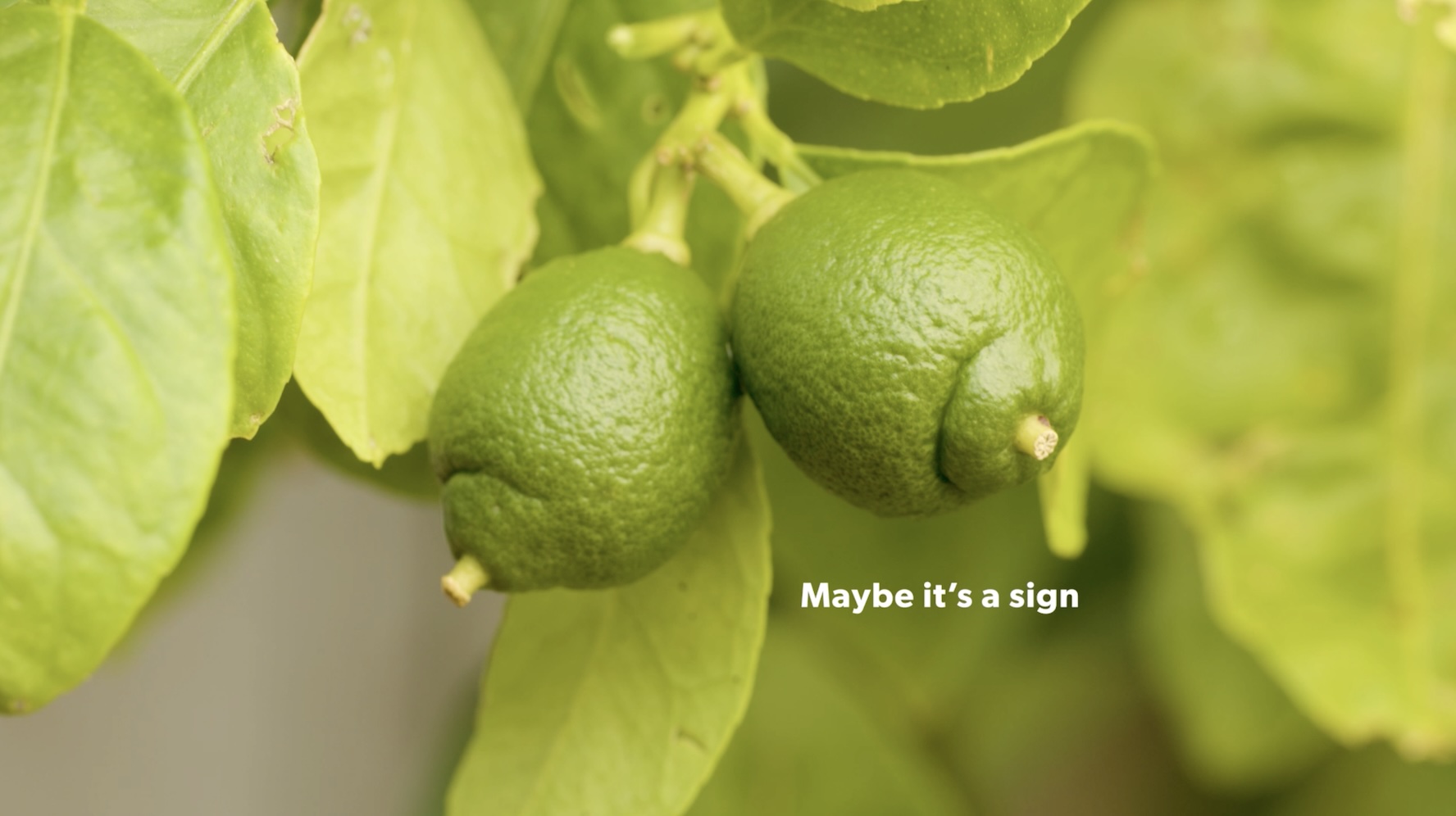 Seeing breasts everywhere? Maybe it’s a sign…says new BCFNZ campaign via Ogilvy NZ