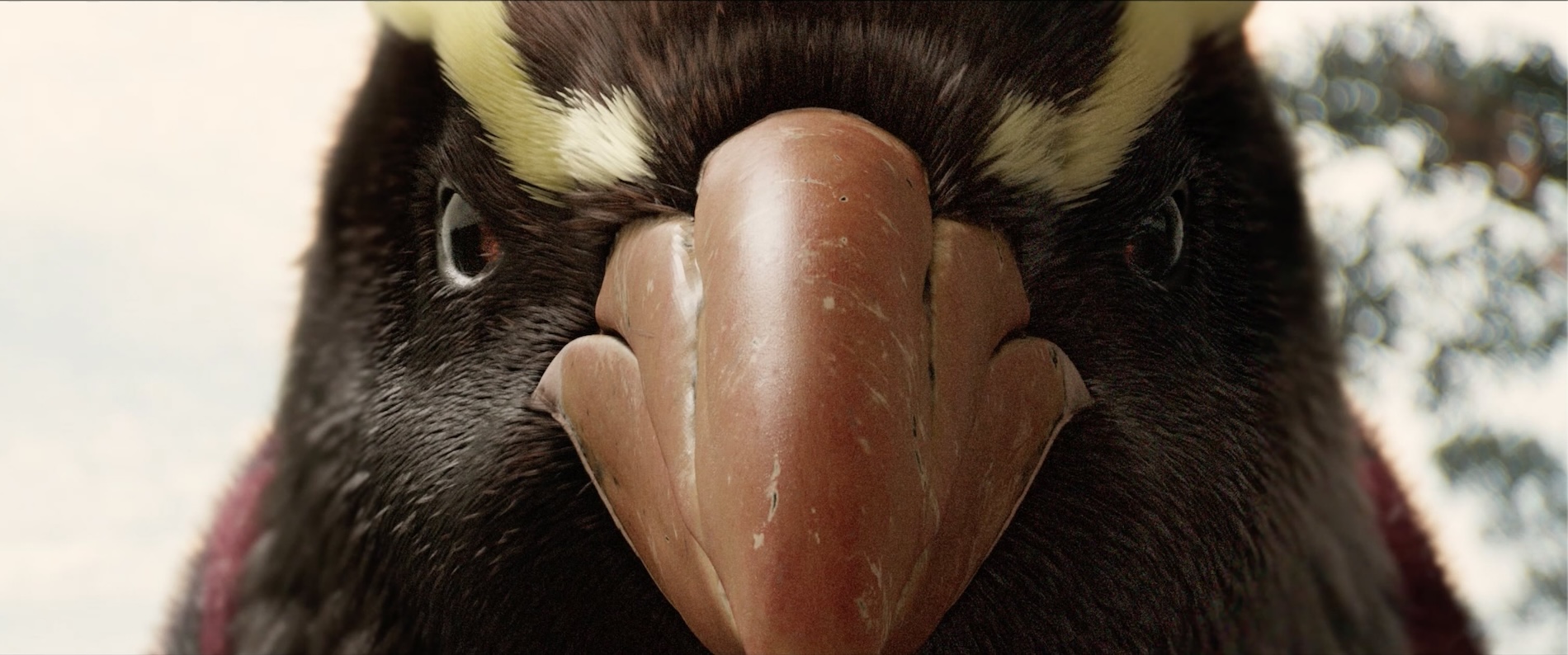Contact helps Kiwis reduce energy consumption during peak hours in new TV spot via Special