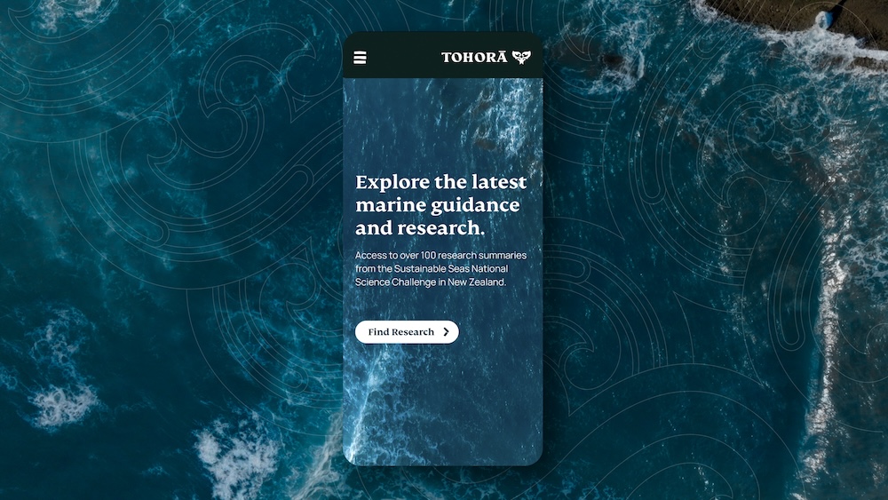 Sustainable Seas and Daylight launch Tohorā – a breakthrough tool for protecting NZ’s moana