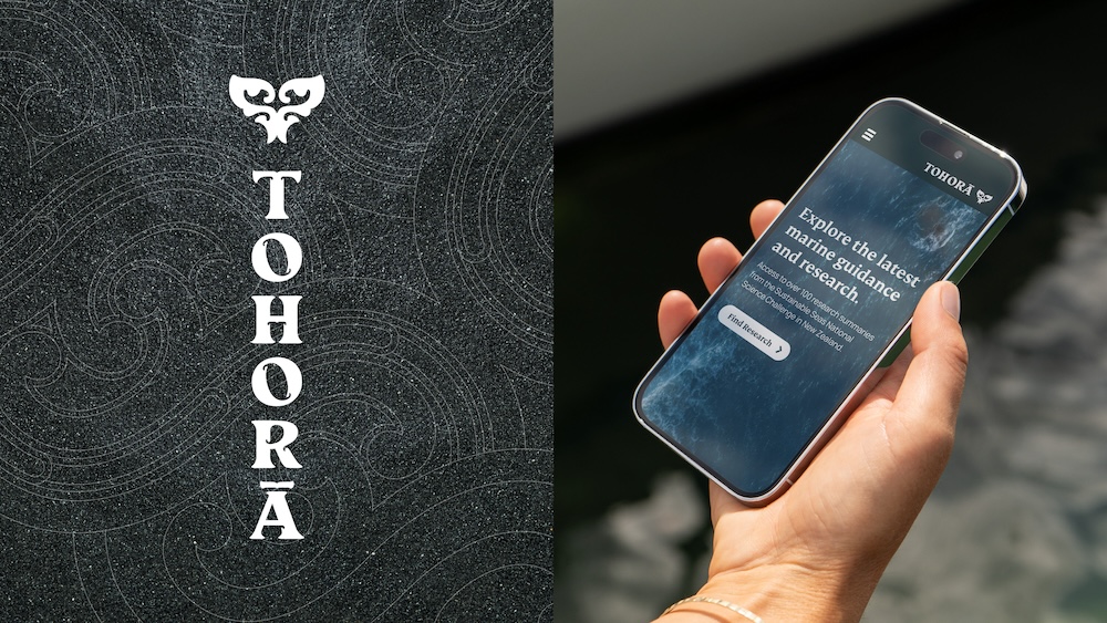 Sustainable Seas and Daylight launch Tohorā – a breakthrough tool for protecting NZ’s moana