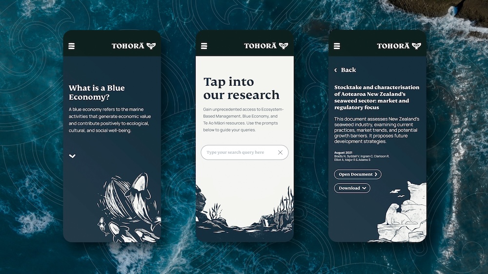 Sustainable Seas and Daylight launch Tohorā – a breakthrough tool for protecting NZ’s moana
