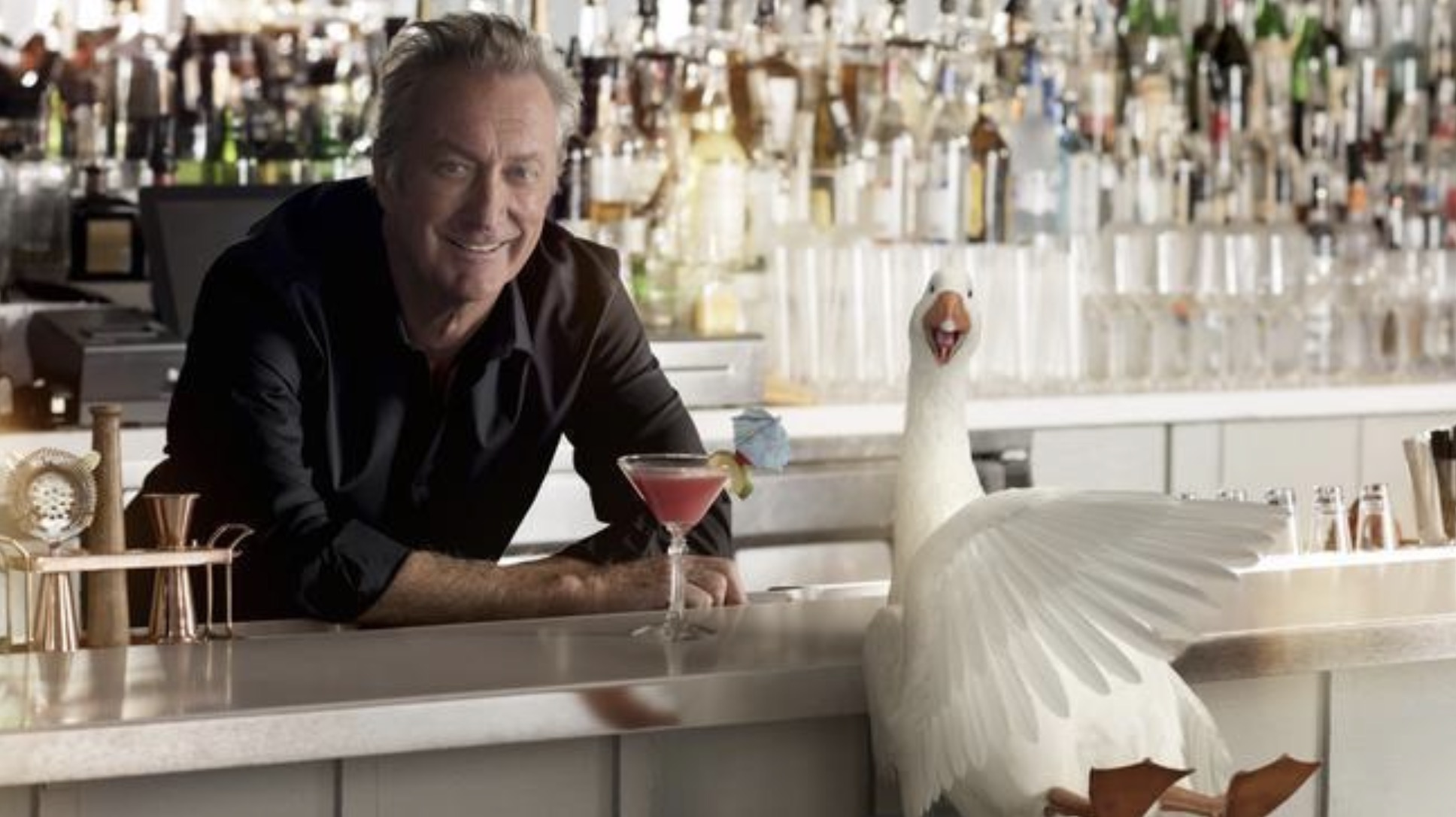 Air New Zealand says farewell to ‘Dave the Goose’ as Aussie icon jets off to Hollywood in new campaign via Bastion Shine and Vision Thing