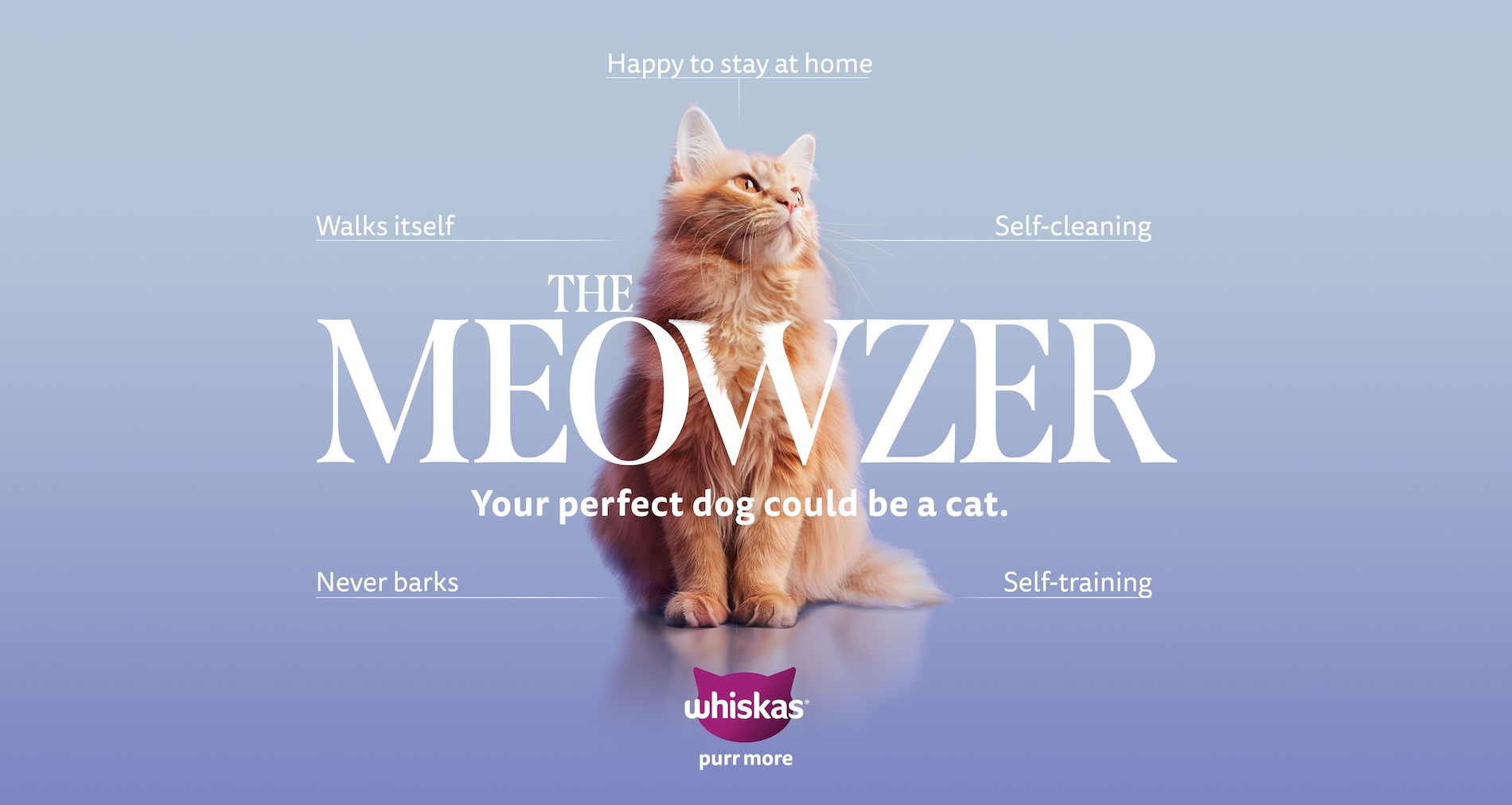 Colenso BBDO’s ‘Meowzer’ for Pedigree makes the cut at shortlist stage of Creative Data Lions