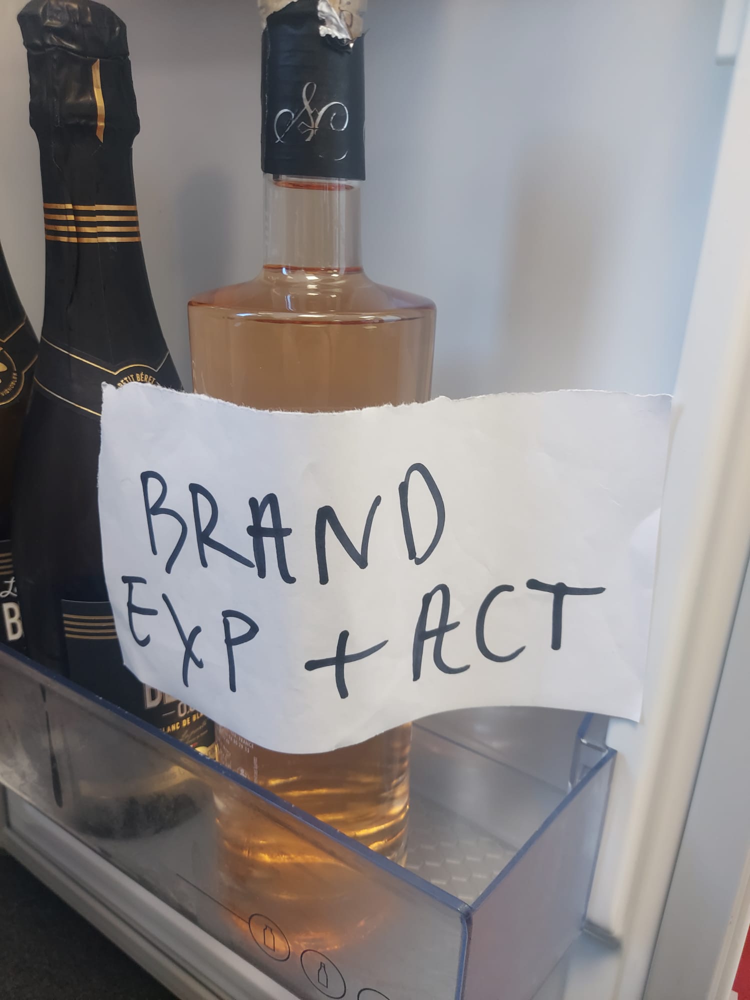 Matty Burton’s Cannes Diary #2: Honeymoon