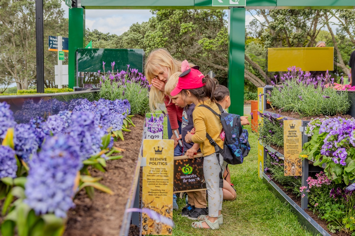 Woolworths NZ opens world’s first supermarket for bees in new activation via dentsu Aotearoa