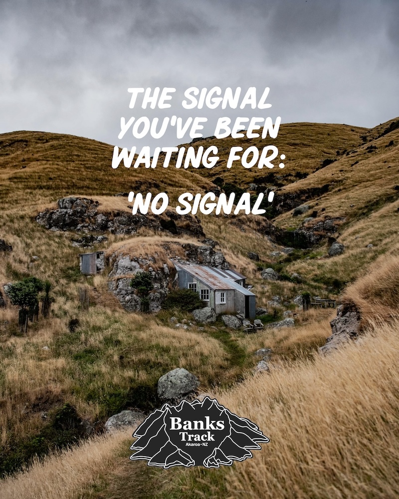 Banks Track launches bold new headline campaign to inspire young adventurers