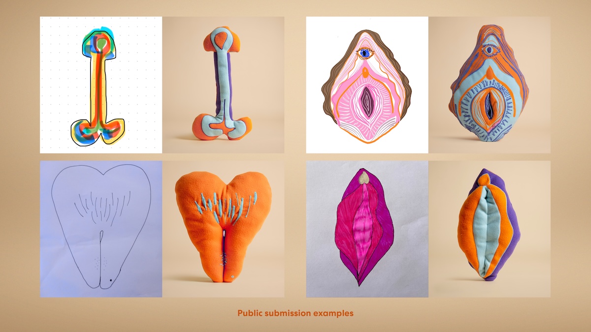 Sexual Wellbeing Aotearoa launches ‘Emotional Support Bits’ campaign via Special Wellington