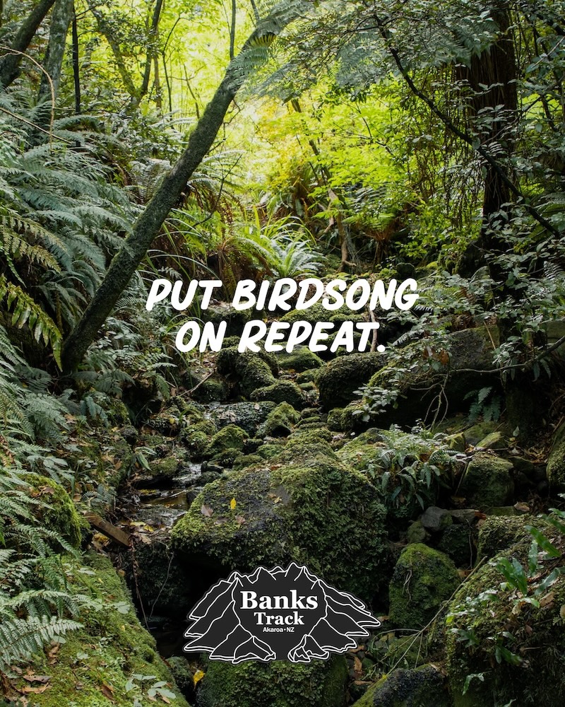 Banks Track launches bold new headline campaign to inspire young adventurers