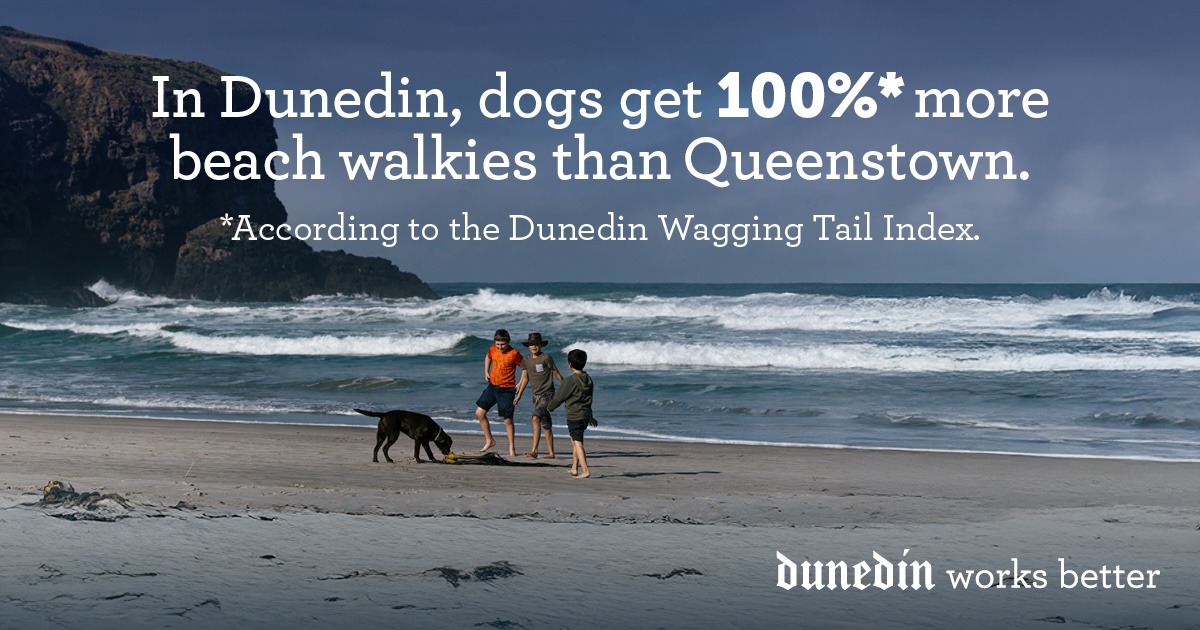 Enterprise Dunedin encourages city-weary folk to move south in new campaign via Strategy Creative