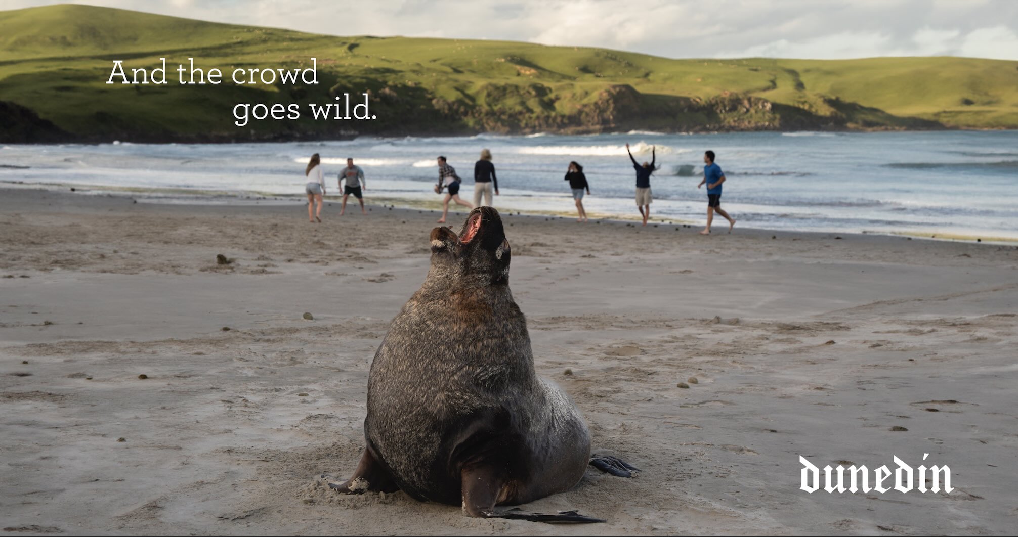 Dunedin showcases its beauty and vibrancy in new destination campaign via Shotover Creative