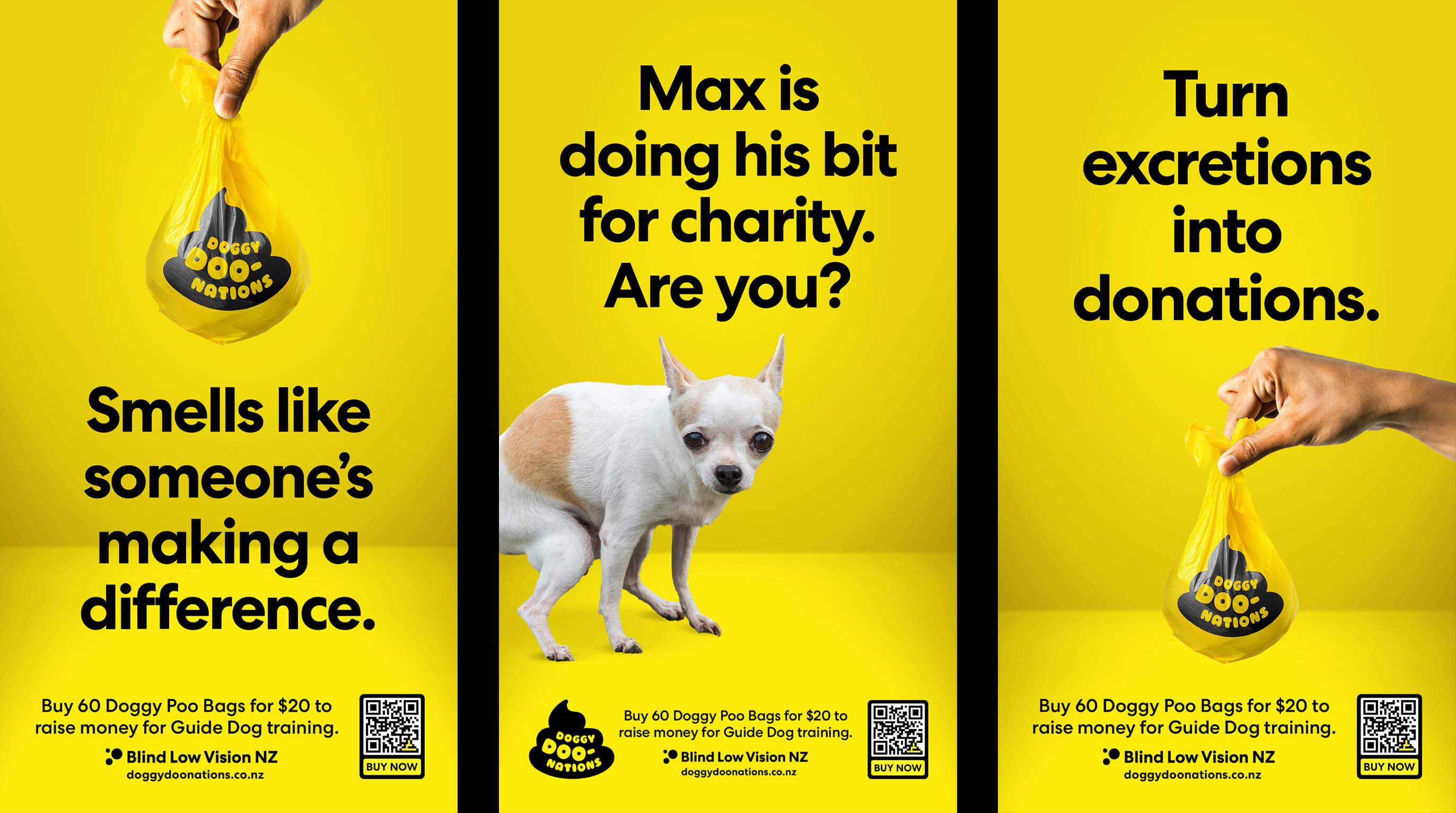Blind Low Vision NZ launches ‘Doggy Doonations’ to fund guide dog training via YoungShand