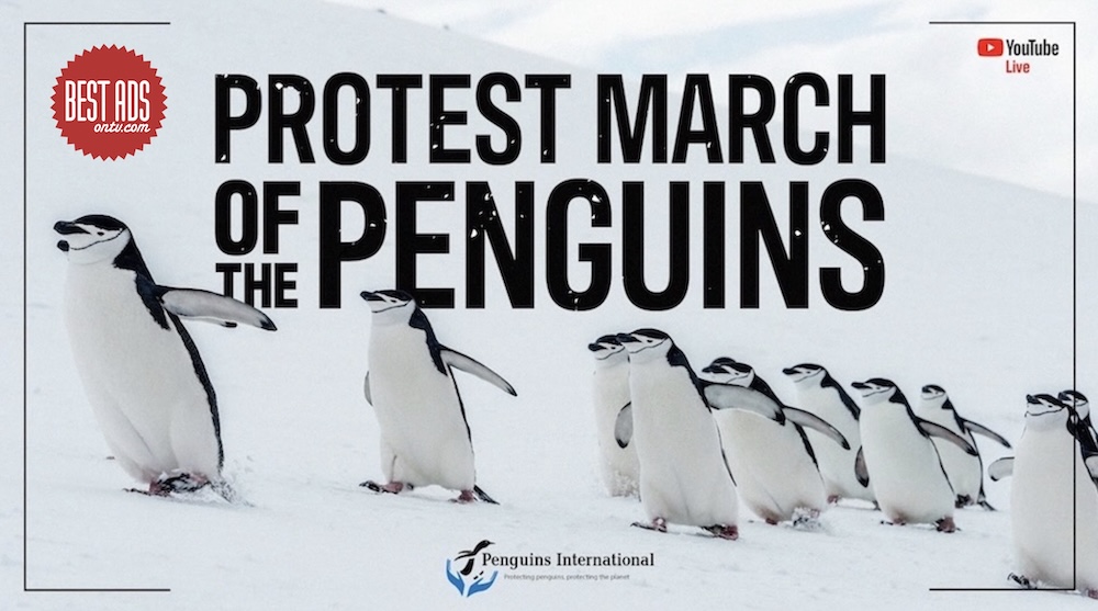 Bestads Best of the Week: Penguins International ‘Protest March of the Penguins’ via Rethink, NY