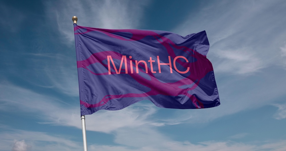 Christchurch-based agency MintHC emerges from strategic consolidation with fresh brand