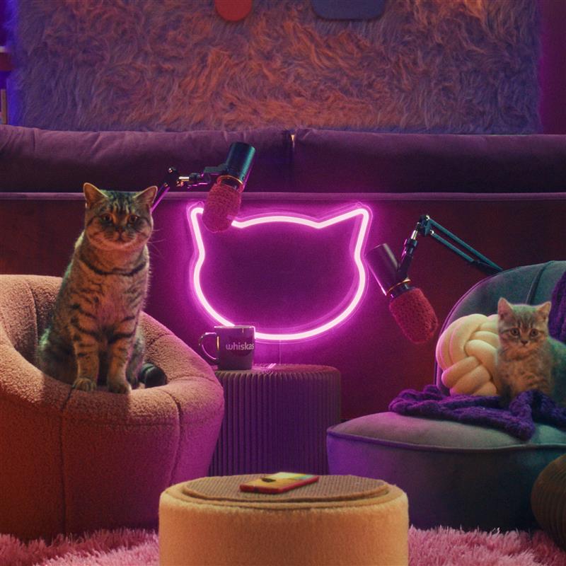 WHISKAS launches ‘The Purrcast’, a kitten advice podcast hosted by cats via AMV BBDO, London