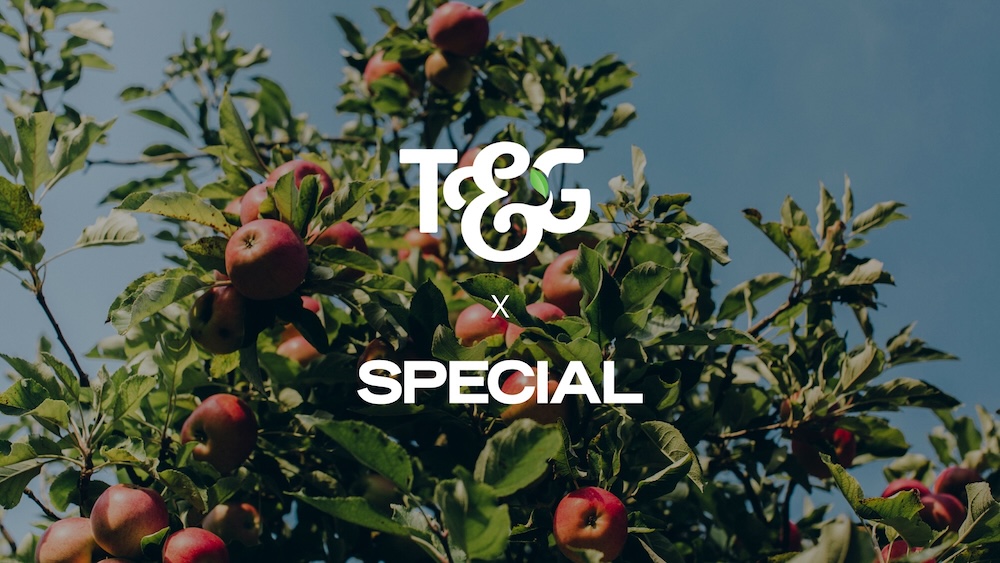 T&G Global appoints Special as lead design agency