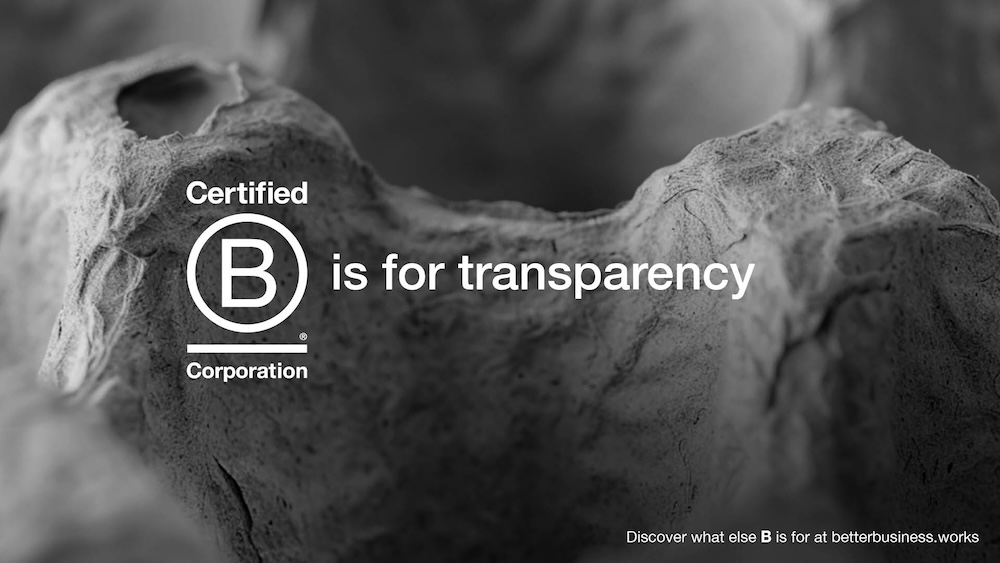 B Lab AANZ calls time on ‘fat cats’ in latest ‘Better Business’ campaign via The Hallway