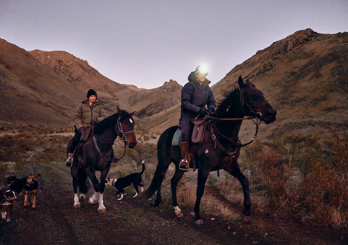 New Zealand Merino captures the heart of ethical wool in new Autumn Muster campaign