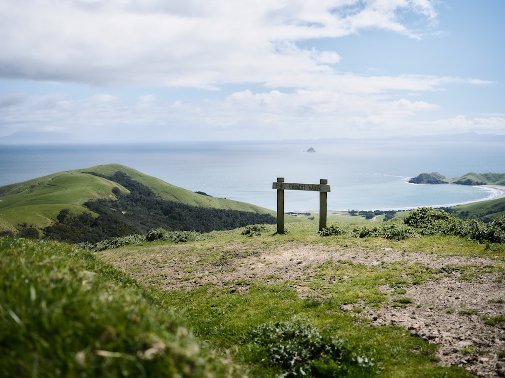 Export takes Kiwis off the beaten track in new campaign via Special PR and dentsu Aotearoa
