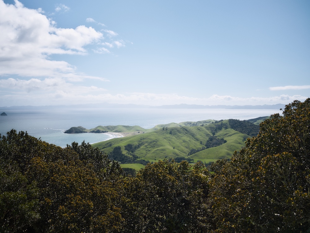 Export takes Kiwis off the beaten track in new campaign via Special PR and dentsu Aotearoa
