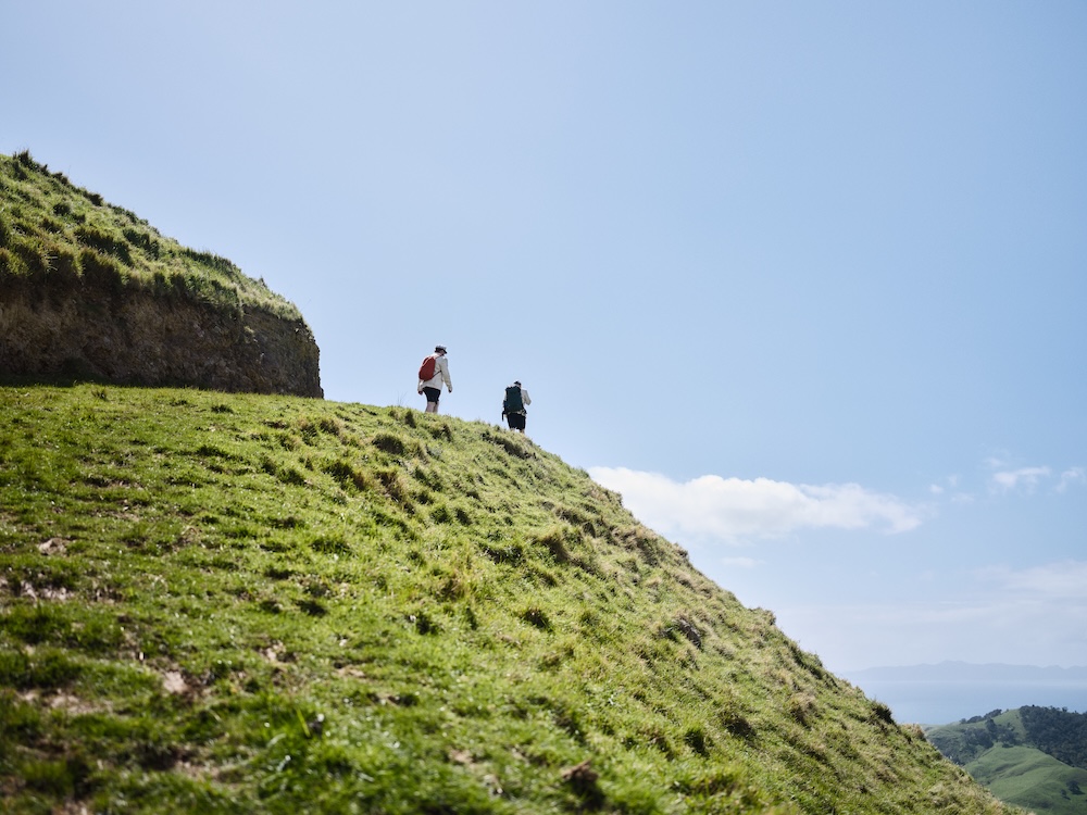 Export takes Kiwis off the beaten track in new campaign via Special PR and dentsu Aotearoa