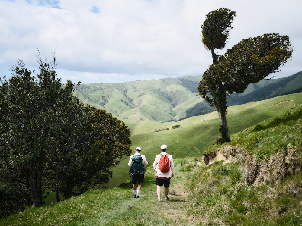 Export takes Kiwis off the beaten track in new campaign via Special PR and dentsu Aotearoa