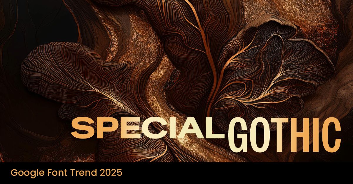 2026 CB NZ HOT LIST #2: SPECIAL