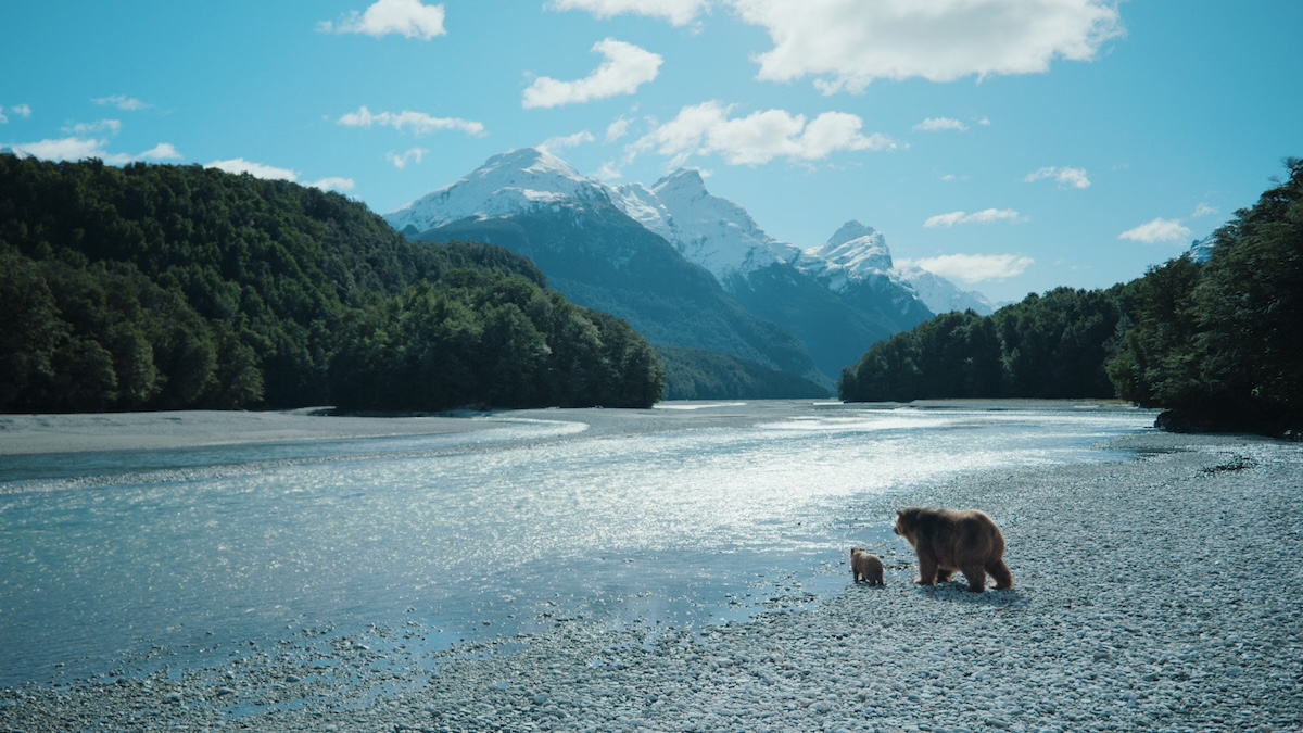 John West launches biggest brand campaign in years across Australia + NZ via Clemenger BBDO