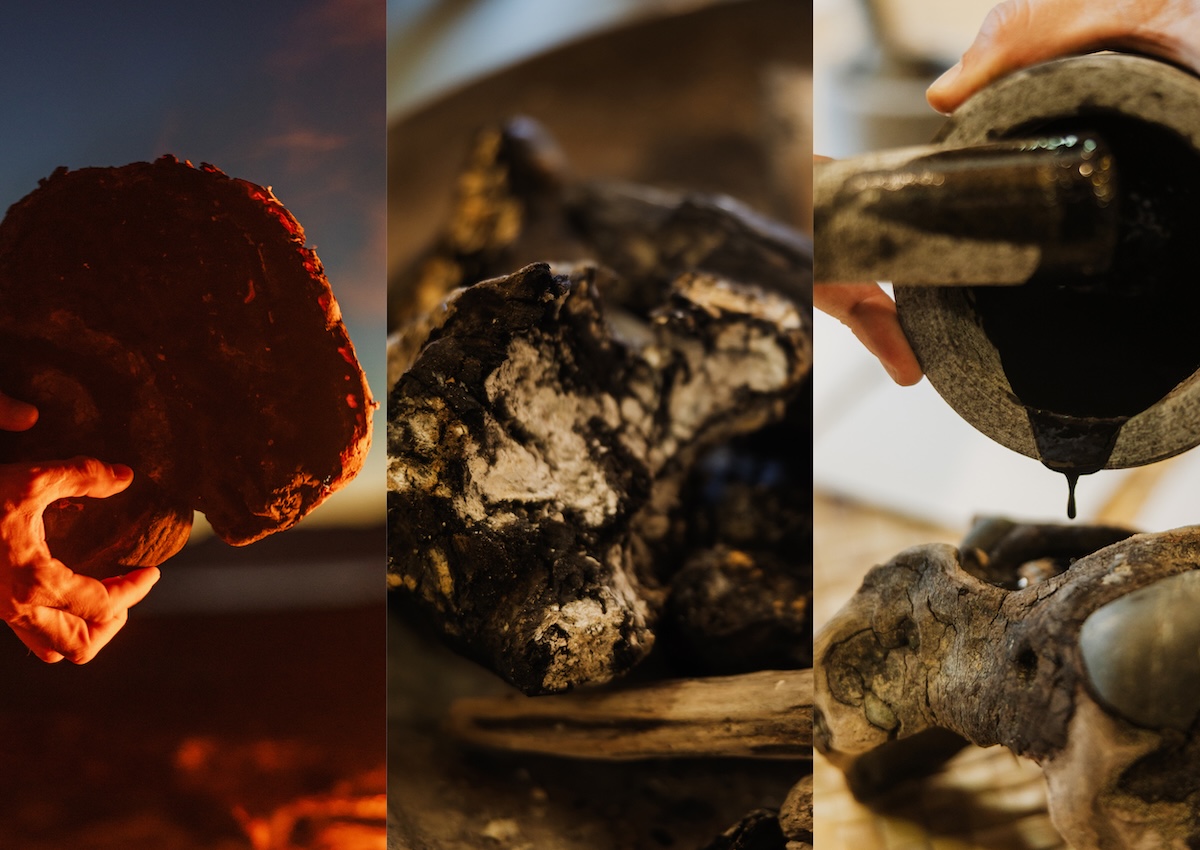 Guardians designs identity inspired by Aotearoa’s birthplace for ahi kā iwi Rangitāne o Wairau