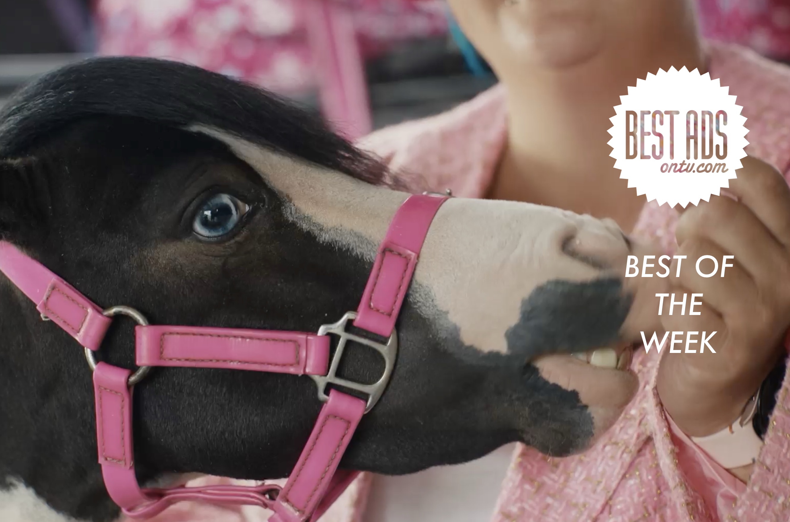 Bestads Best TV / Film of the Week: Griffin’s ‘Life Needs A Biscuit’ via Motion Sickness