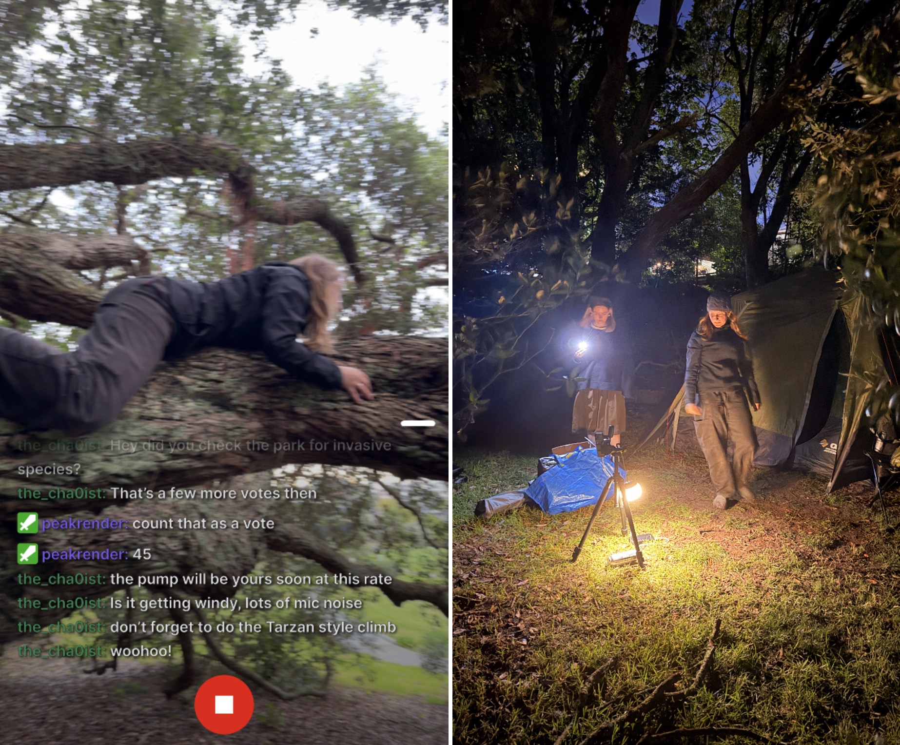 Liza Plyshevsky and Tab Eady survive 24 hours in NZ bush for KathScan Webby Award push